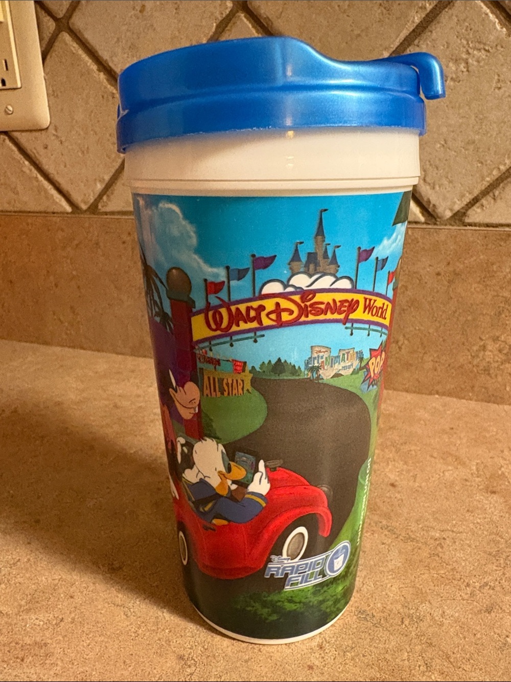 Disneyworld Travel Tumbler